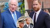 Reazioni di prince harry alla sicurezza deludono re carlo