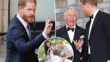Prince Harry svela verità shock dopo il rifiuto della sicurezza rivolgendosi a re Carlo