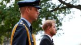 Il conflitto tra Harry e William nato da una parola di tre lettere