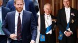 Prince harry tende mano al padre re charles e al fratello william