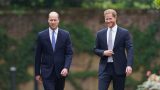 Principe william e harry hanno acquistato segretamente i vestiti di lady diana?
