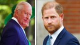 Principe harry e re carlo più vicini che mai dopo colloqui segreti