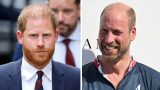 Príncipe william gioca in partita di polo benefica con la royal family